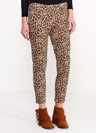 Модные леопардовые брючки от befree. s-m.3 фото