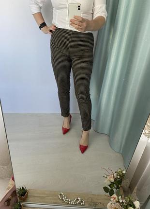 Шикарні штани