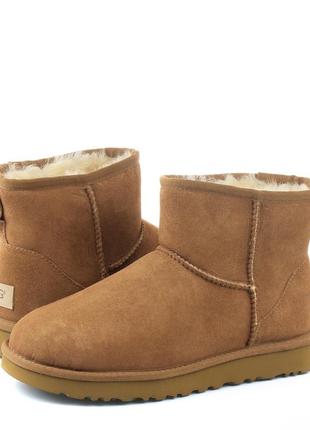 Зимові ugg mini