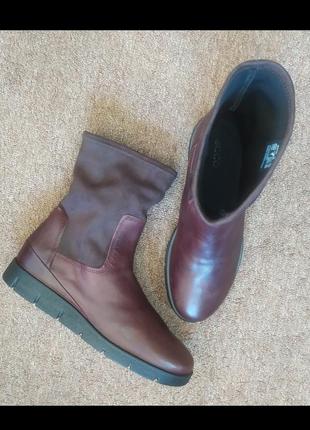 Высокие ботинки Pointy ecco bella (282363-58500)