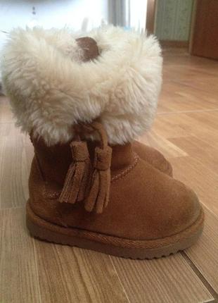 Сапоги угги ugg р-р 5 (13см)2 фото