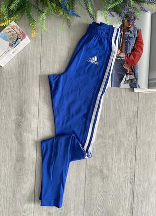 Лосини adidas