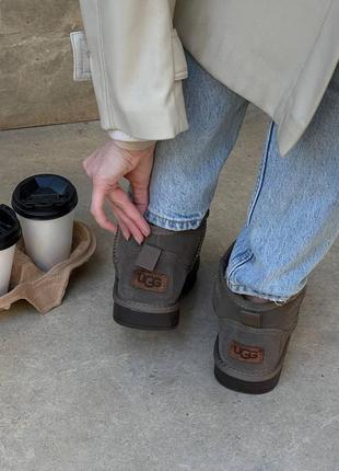 Круті жіночі замшеві черевики ugg ultra mini6 фото