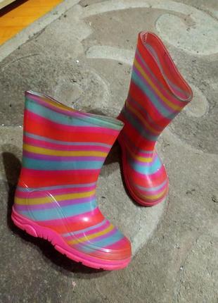 Резиновые сапоги