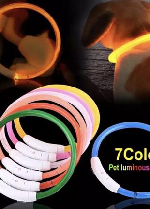 Светящийся ошейник для собак или котов, имеет три режима свечения, цвет желтый , длин 50см (диам внутр 15 см)4 фото