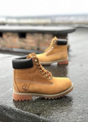 Жіночі ботінки  timberland женские ботинки тимберленд