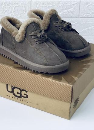 Тапочки на меху лоферы мокасини ugg sparkle mini6 фото