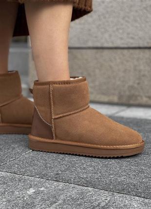 Зимові угги ugg camel (лаковий задник)