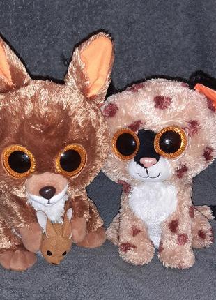 Глазастик кенгуру рись