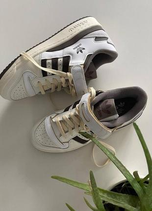 Кроссовки кросівки color adidas forum 84 low beige brown