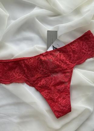 Базовый комплект белья intimissimi, треугольник tiziana и бразильяно s6 фото