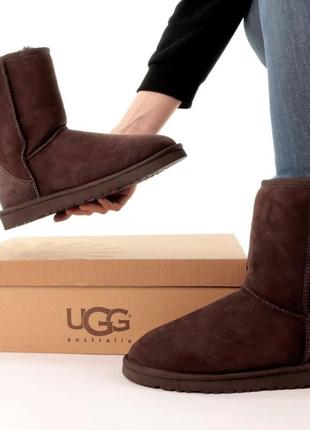 Угги ugg  ❄️1 фото