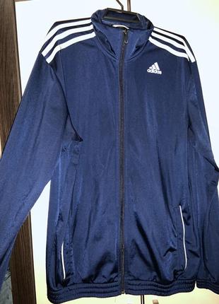 Кофта мастерка зипка adidas