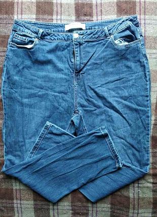 Жіночі джинси anthology denim