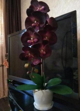 Шикарная орхидея фаленопсис штучна композиция в горшке