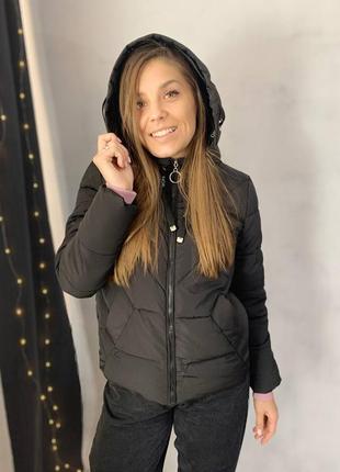 Куртка жіноча демісезонна
