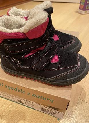 Зимові боти