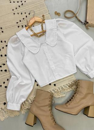 Белая женская блуза с воротничком3 фото