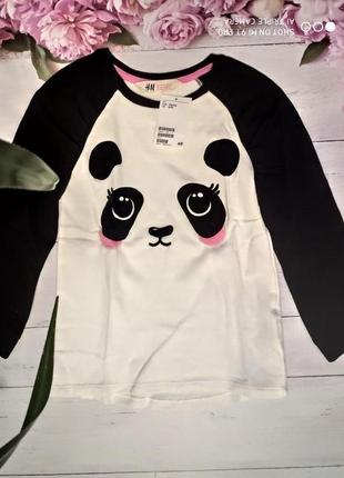 Реглан h&m 4-6лет