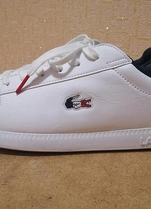 Кросовки lacoste lacoste graduate