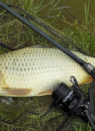 Котушка з байтраннером carp expert neo runner 6000, 9+1bb5 фото