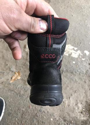 Ботинки ecco gore-tex3 фото