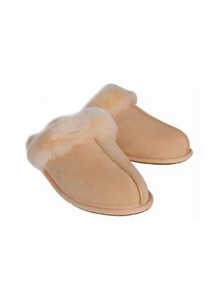 Замшевые тапочки с мехом ugg | scuffette ii2 фото