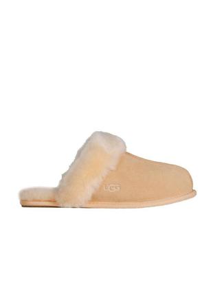 Замшевые тапочки с мехом ugg | scuffette ii