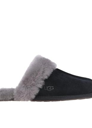 Замшевые тапочки с мехом ugg | scuffette ii3 фото