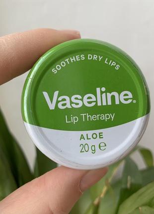 Бальзам для губ vaseline с алое aloe 20 грамм