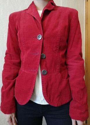 Пиджачек вельветовый