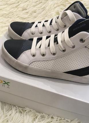 Хайтопи, кеді