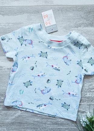 Футболка з черепахами