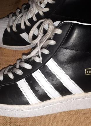 38.5-25 см снікерси шкіра adidas