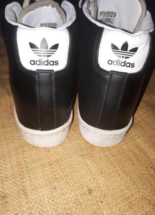 38.5-25 см сникерсы кожа adidas2 фото