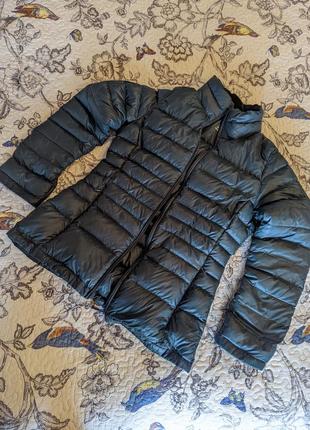 Легкий пуховик sweatshirt calvin klein (оригинал)