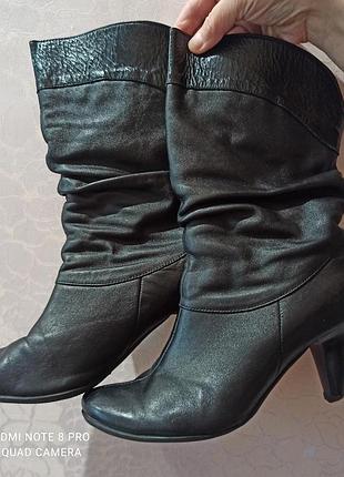 Чоботи жіночі blesso