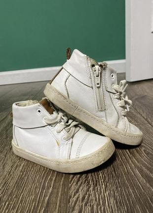 Кеди clarks