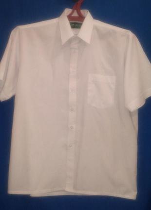 Класична біла нарядна сорочка