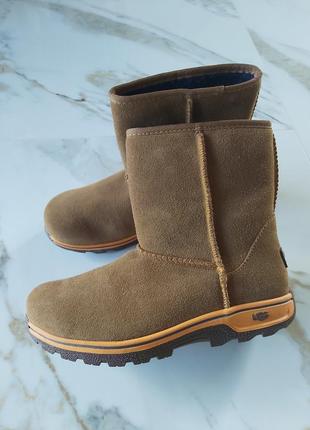 Сапоги ugg оригинал, сапожки,  угги, ugg.