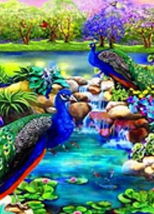 Алмазна мозаїка за номерами 40*50 "павичини" карт уп. (холст на раме)