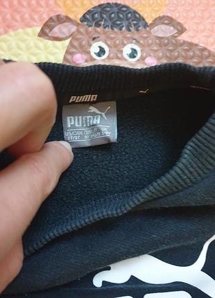 Кофта  adidas 3