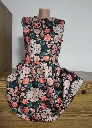 Плаття 👗