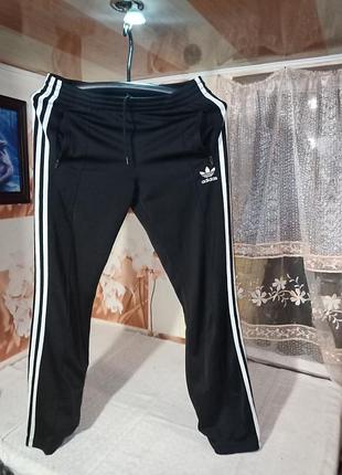 Спортивні штани adidas