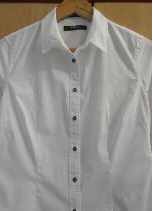 Супер брендова сорочка блуза блузка бавовна італія2 фото
