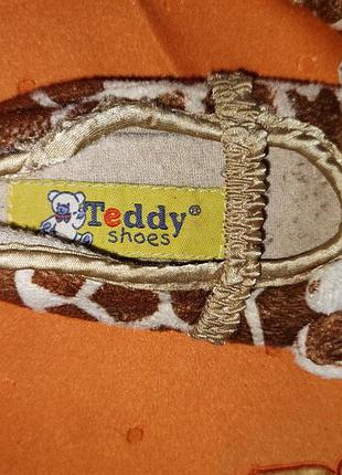 Капці teddy 2