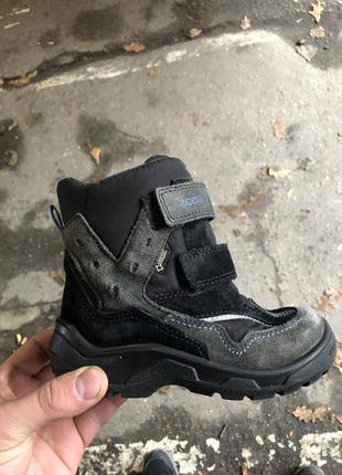 Черевики ecco gore-tex