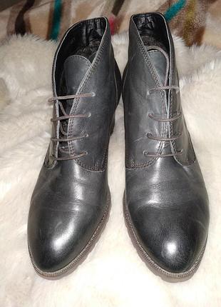 Ботинки ботильоны кожаные chester