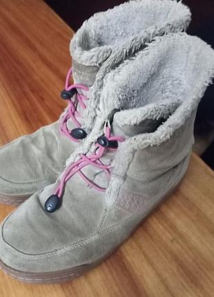 Зимові ботинки, чоботи ecco