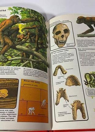 Энциклопедии для детей доисторическая жизнь росмэн4 фото